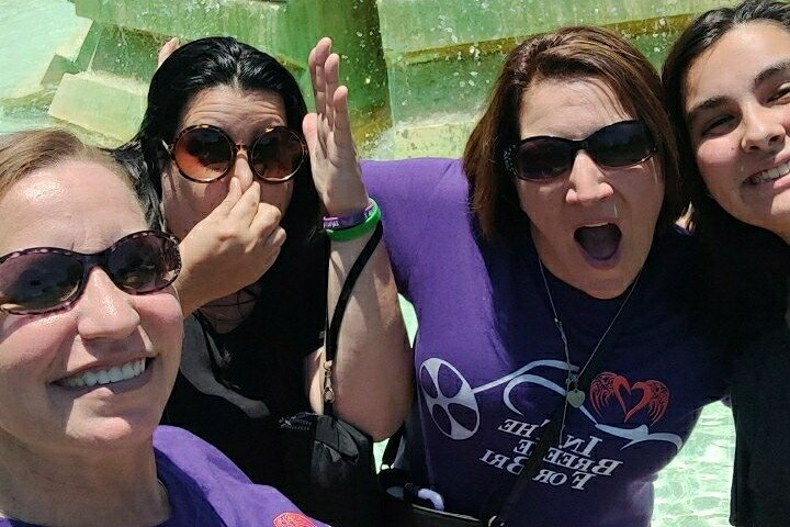 Participate in a Fun Scavenger Hunt in Roseville by Operation City Quest - Photo 1 of 11